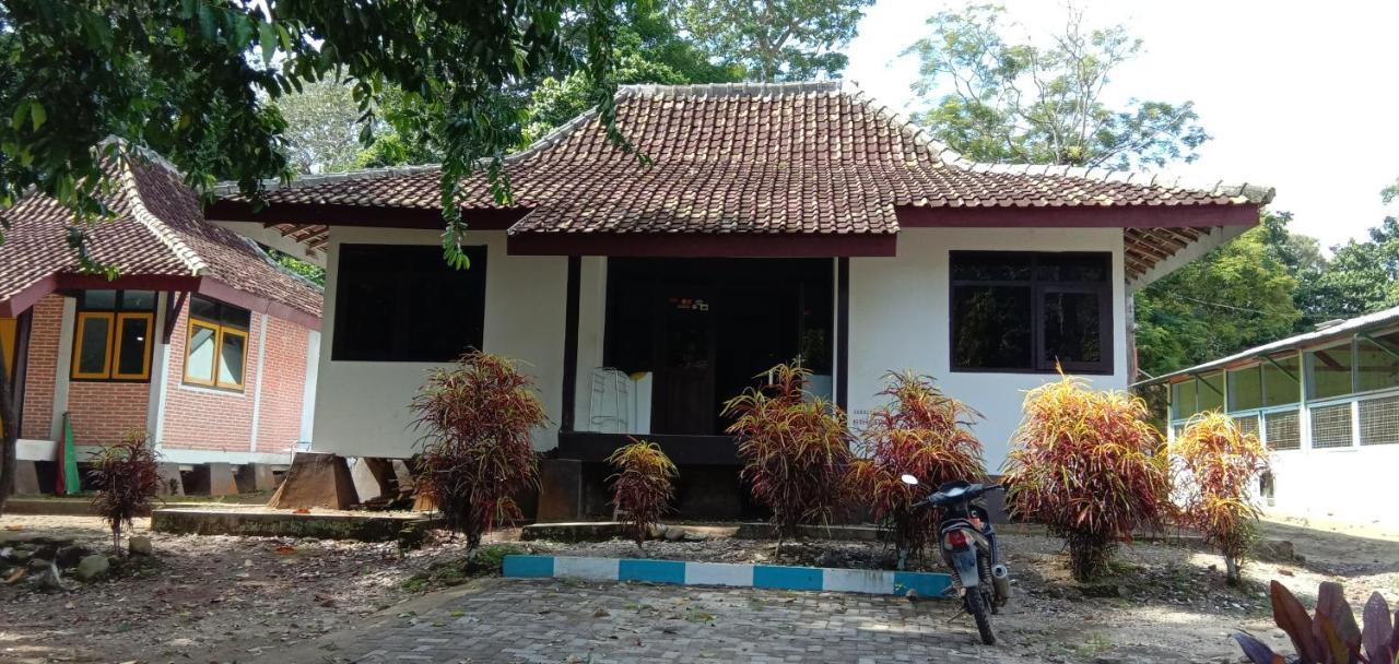 Sukamade Adventure Tour Package Bed and Breakfast Banyuwangi  Εξωτερικό φωτογραφία